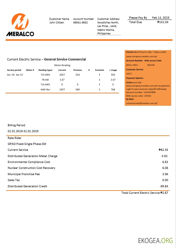 Philippines The Manila Electric Company electricity company in Word format